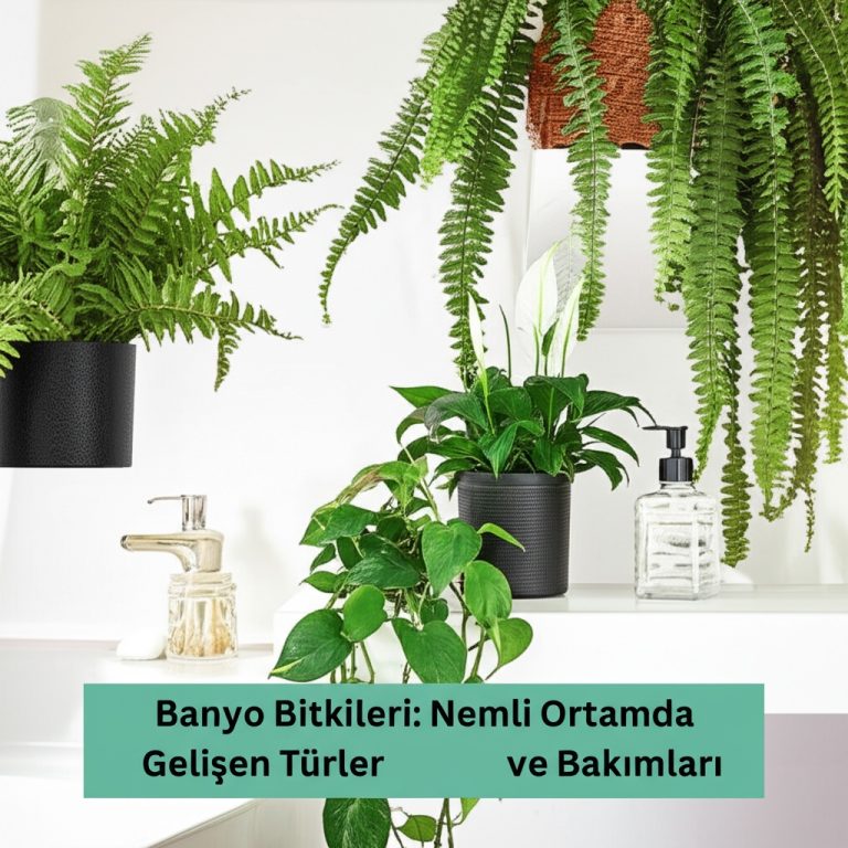 Banyo Bitkileri: Nemli Ortamda Gelişen Türler ve Bakımları