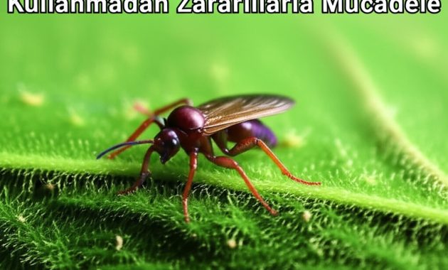 Doğal Haşere Kontrolü: Kimyasal Kullanmadan Zararlılarla Mücadele