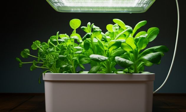 Evde Kendi Akıllı Bahçe Sistemini Kur: DIY Rehberi