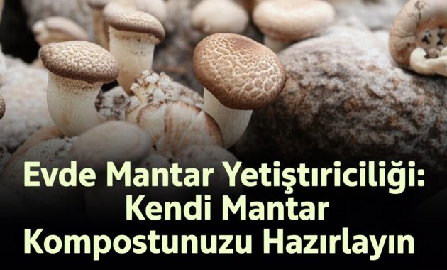 Evde Mantar Yetiştiriciliği: Kendi Mantar Kompostunuzu Hazırlayın