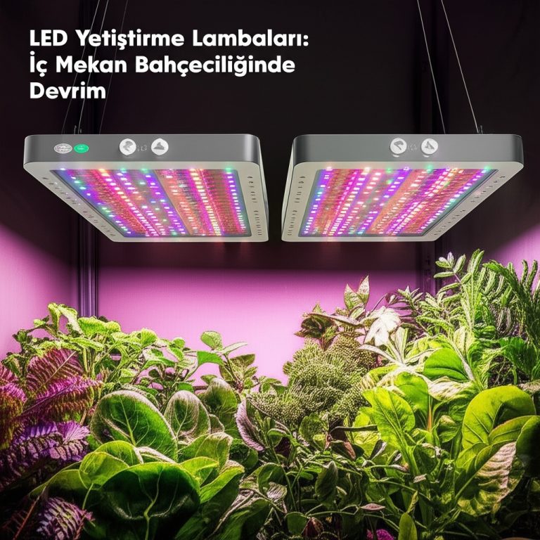 LED Yetiştirme Lambaları: İç Mekan Bahçeciliğinde Devrim