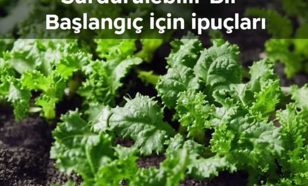 Organik Tohum Seçimi: Sürdürülebilir Bir Başlangıç İçin İpuçları