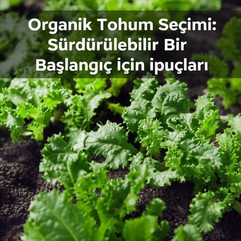Organik Tohum Seçimi: Sürdürülebilir Bir Başlangıç İçin İpuçları