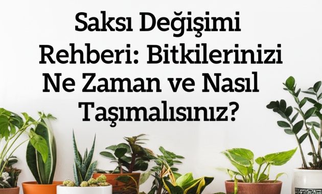 Saksı Değişimi Rehberi: Bitkilerinizi Ne Zaman ve Nasıl Taşımalısınız?