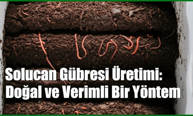 Solucan Gübresi Üretimi: Doğal ve Verimli Bir Yöntem