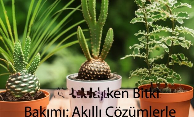 Tatildeyken Bitki Bakımı: Akıllı Çözümlerle Endişesiz Ayrılık